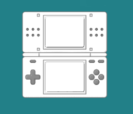 NINTENDO DS NDS